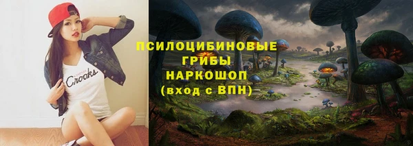 твердый Арсеньев