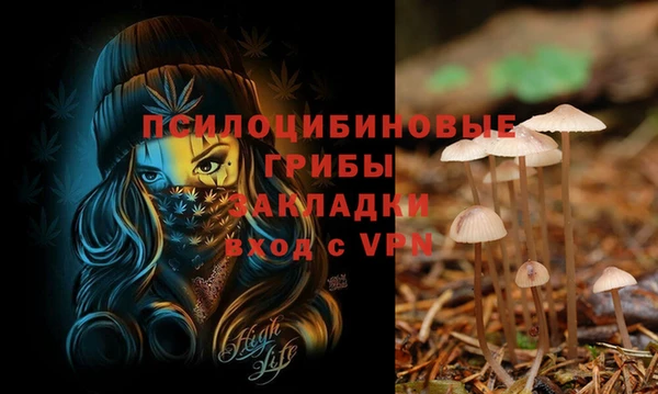 дурь Протвино