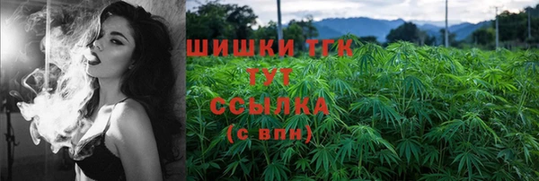 твердый Арсеньев