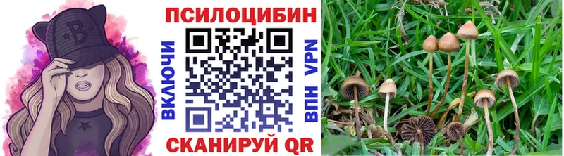 Псилоцибиновые грибы Magic Shrooms  даркнет сайт  Камешково 